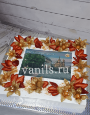 торт с изображением санкт петербурга